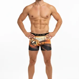 PULLIN - Boxer FASHION2 - RONDE DES SABLES