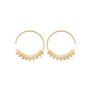 Boucles d’oreilles créoles laurier plaqué or
